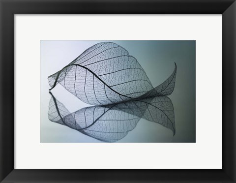 Framed Curvaceousness Print