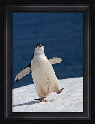 Framed Life Is Good Print