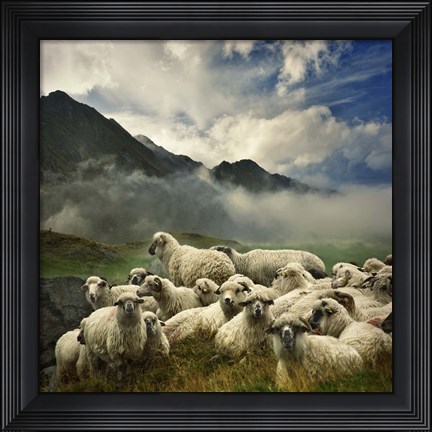 Framed Silence Of The Lambs Print