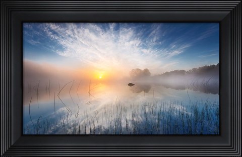 Framed Reflection Print