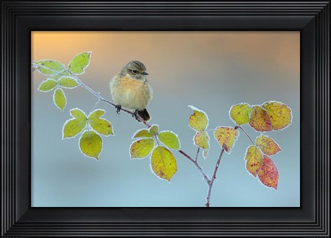 Framed Winter Colors Print