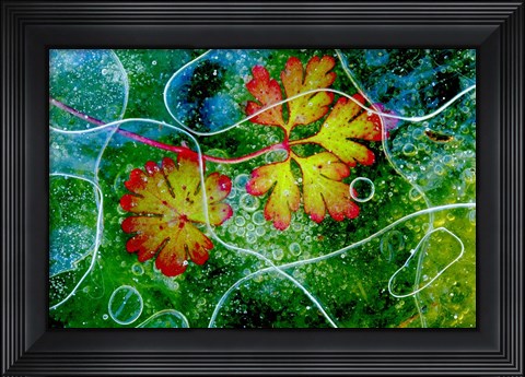 Framed Thaw Print