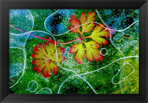 Framed Thaw Print