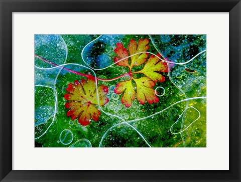 Framed Thaw Print