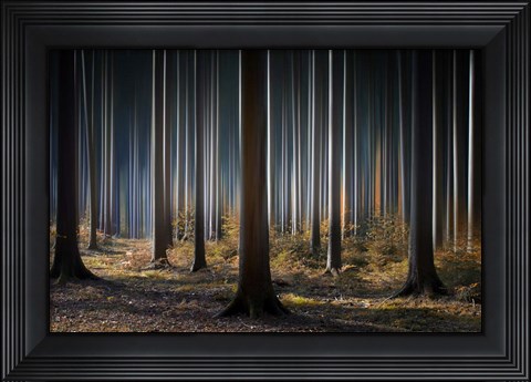 Framed Mystic Wood Print