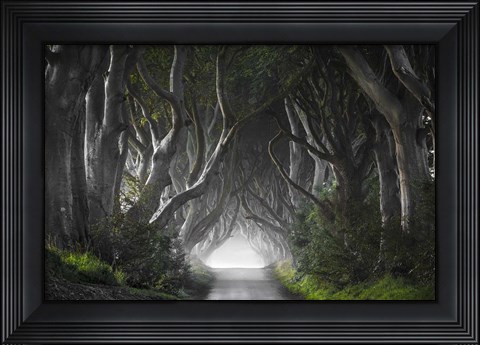 Framed Dark Hedges Print