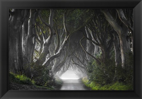 Framed Dark Hedges Print