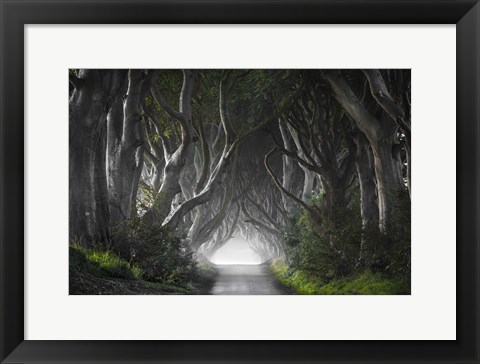 Framed Dark Hedges Print