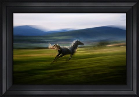 Framed Alone Print