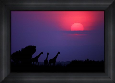 Framed Sunrise In Uganda Print