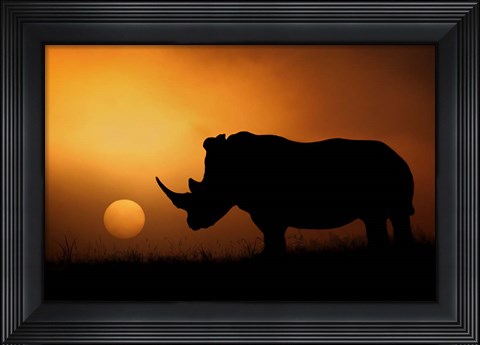 Framed Rhino Sunrise Print