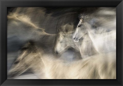 Framed In Motion Print