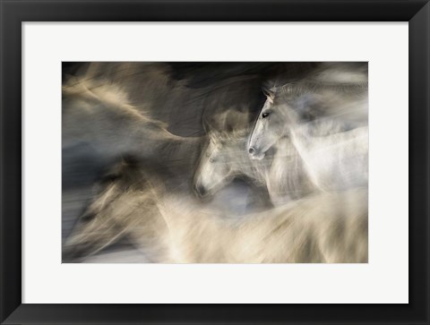 Framed In Motion Print