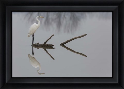 Framed Reflections Print