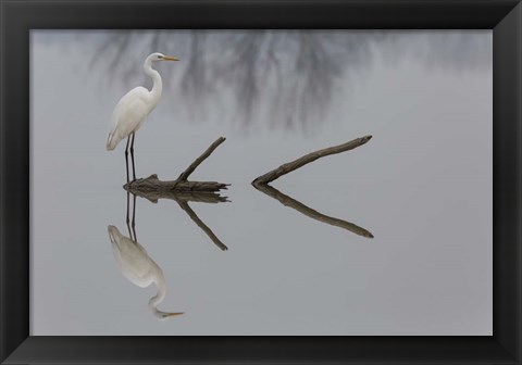 Framed Reflections Print