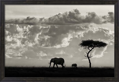 Framed Silhouettes Of Mara Print