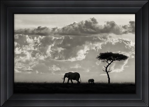 Framed Silhouettes Of Mara Print
