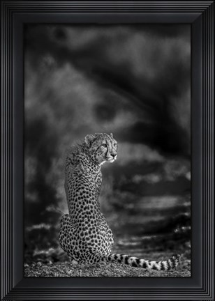 Framed Look Back Print
