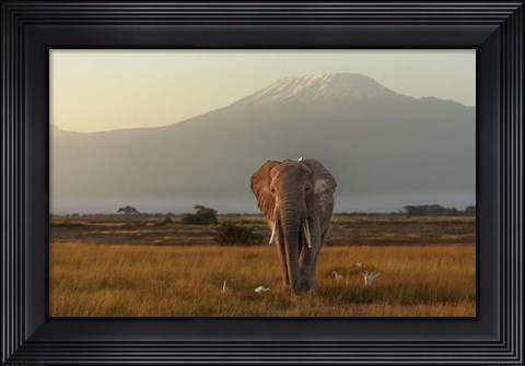 Framed Under The Roof Of Africa Print