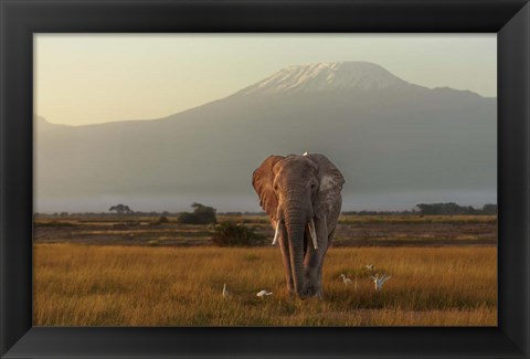 Framed Under The Roof Of Africa Print