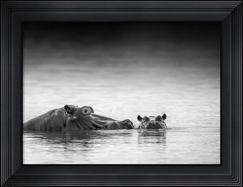 Framed Eye Level Print