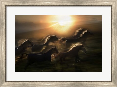 Framed Morning  Gallop Print