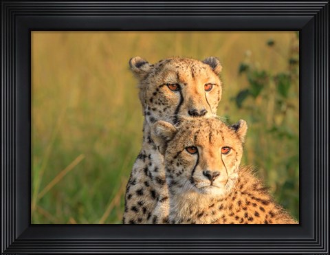 Framed Double Team Print