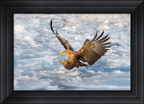 Framed Coming Print