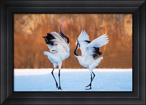 Framed Dance Of Love Print