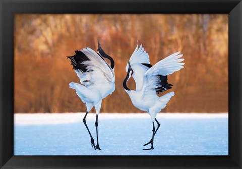 Framed Dance Of Love Print