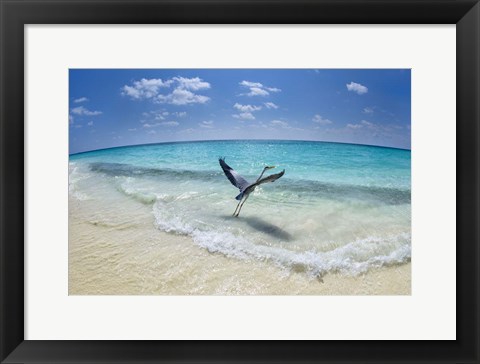 Framed Take-Off Print