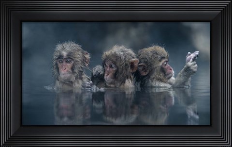 Framed Trio Print