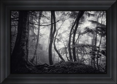 Framed Mysterious Light Print