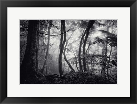 Framed Mysterious Light Print