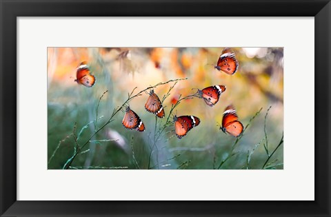Framed Family Print
