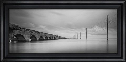 Framed Birds Talking Print
