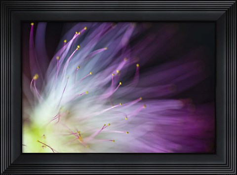 Framed Will-O-The-Wisp Print