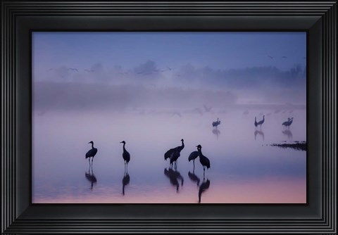 Framed Enchanted Serenity Print