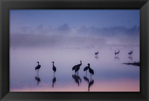 Framed Enchanted Serenity Print