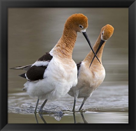 Framed Love Crossing Print