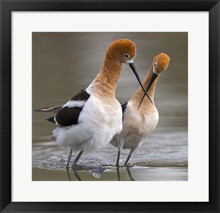 Framed Love Crossing Print