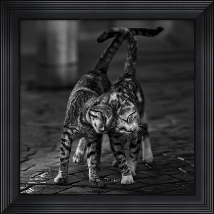 Framed Untitled Print