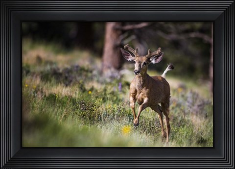 Framed Happy Print