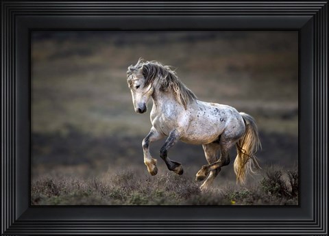 Framed Wild Wild West Print
