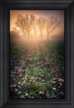 Framed Misty Morning Print