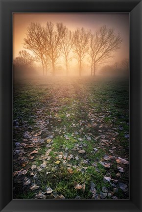 Framed Misty Morning Print