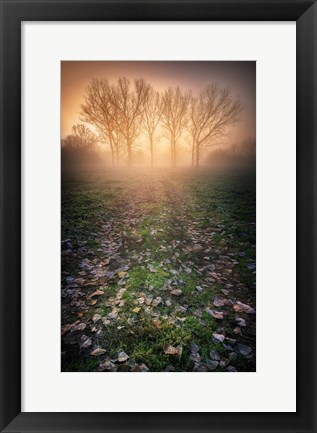 Framed Misty Morning Print