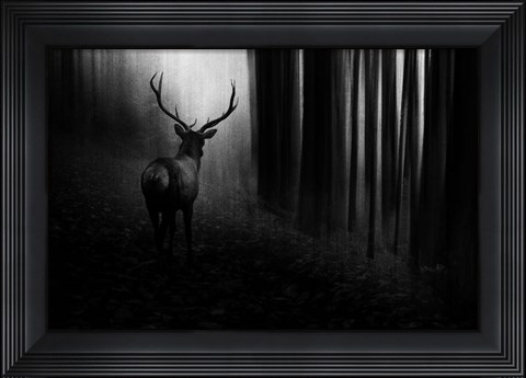 Framed Stag Print