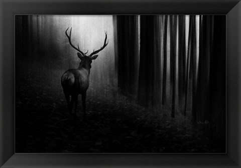 Framed Stag Print