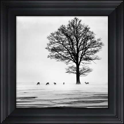 Framed Roes Print
